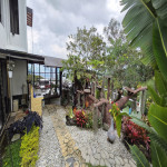 Casa en Venta en Los Balsos, Medellín — miniatura 8