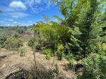 Lote en Venta en Abreo, Rionegro — miniatura 6