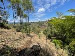 Lote en Venta en Abreo, Rionegro — miniatura 7