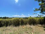 Lote en Venta en Abreo, Rionegro — miniatura 10