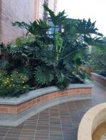 Apartamento en Venta en Loma del Esmeraldal, Envigado — miniatura 11