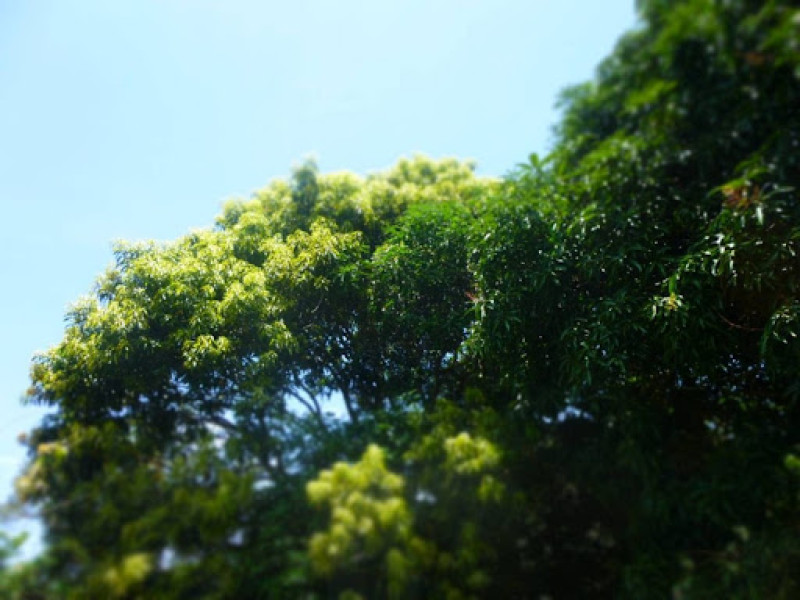 Lote En Venta - Bucaramanga, Bucaramanga