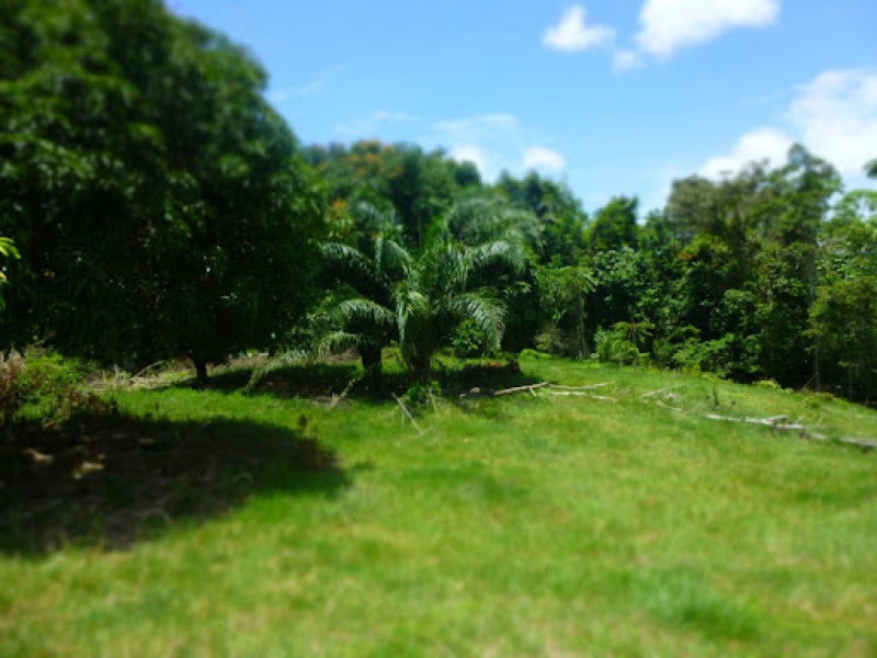 Lote En Venta - Bucaramanga, Bucaramanga