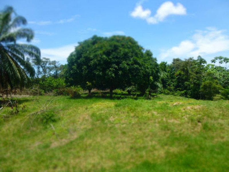 Lote En Venta - Bucaramanga, Bucaramanga