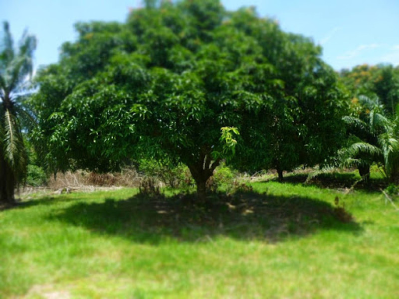 Lote En Venta - Bucaramanga, Bucaramanga