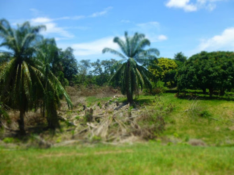 Lote En Venta - Bucaramanga, Bucaramanga