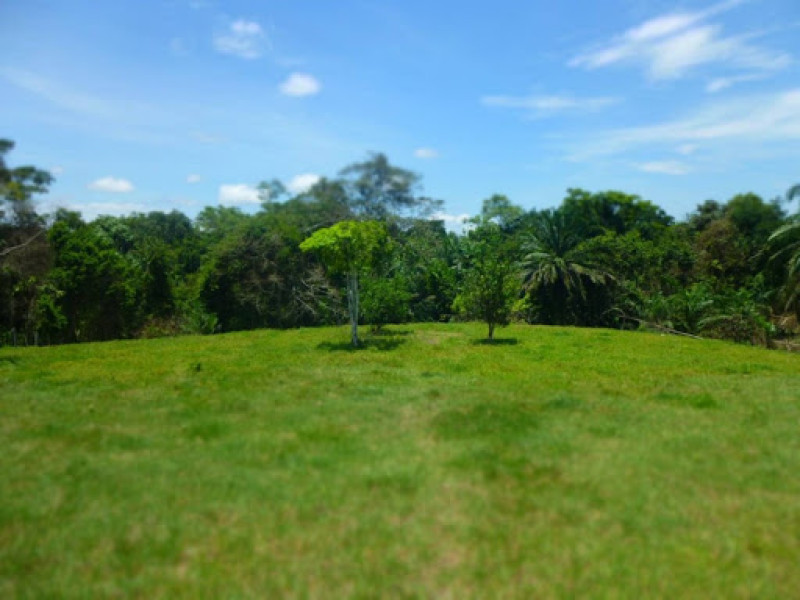 Lote En Venta - Bucaramanga, Bucaramanga