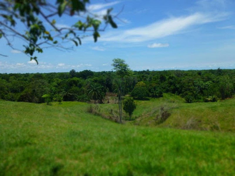 Lote En Venta - Bucaramanga, Bucaramanga