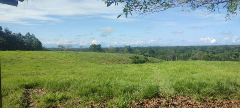 Lote En Venta - Bucaramanga, Bucaramanga