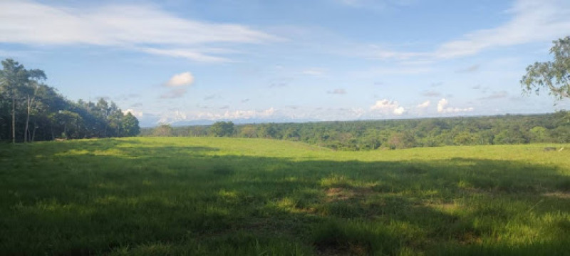 Lote En Venta - Bucaramanga, Bucaramanga