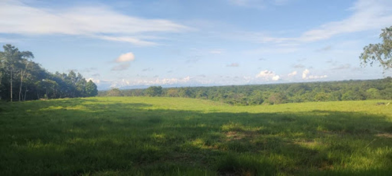 Lote En Venta - Bucaramanga, Bucaramanga