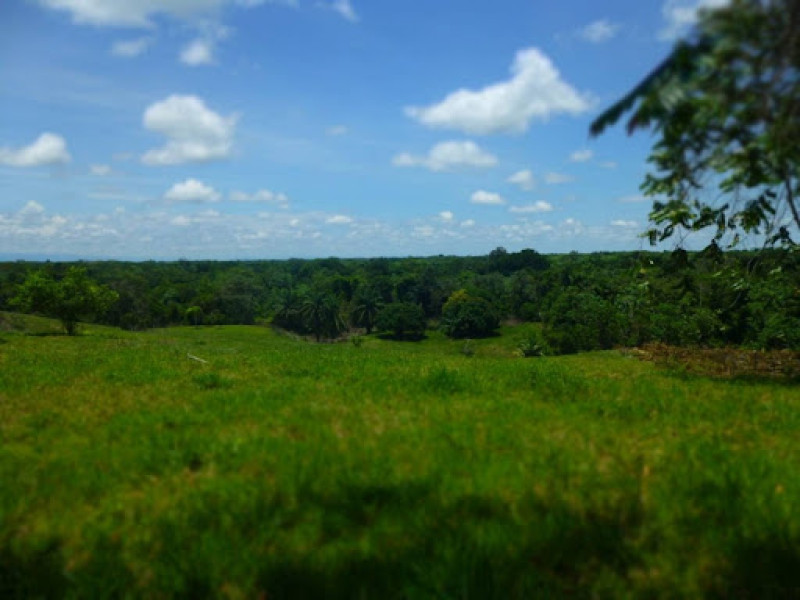 Lote En Venta - Bucaramanga, Bucaramanga