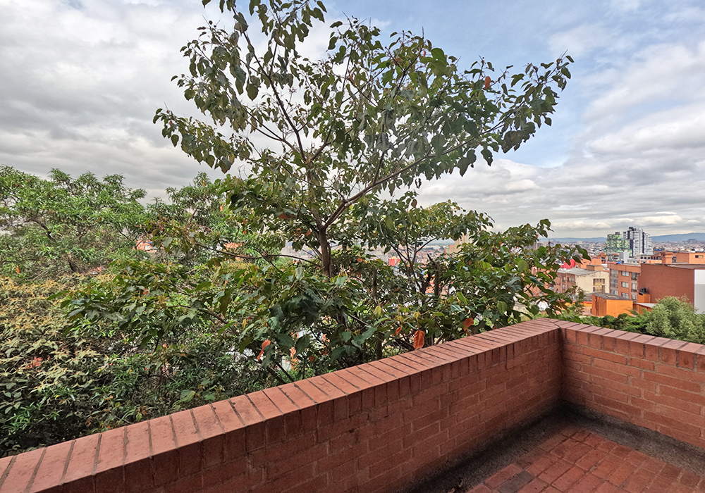 Apartamento En Venta - Chapinero Alto, Bogotá