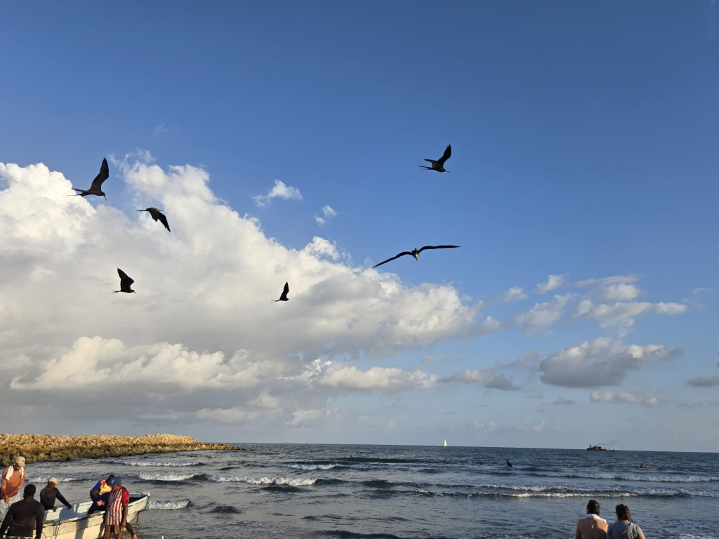 blog