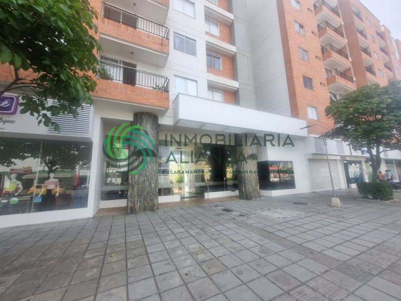 blog