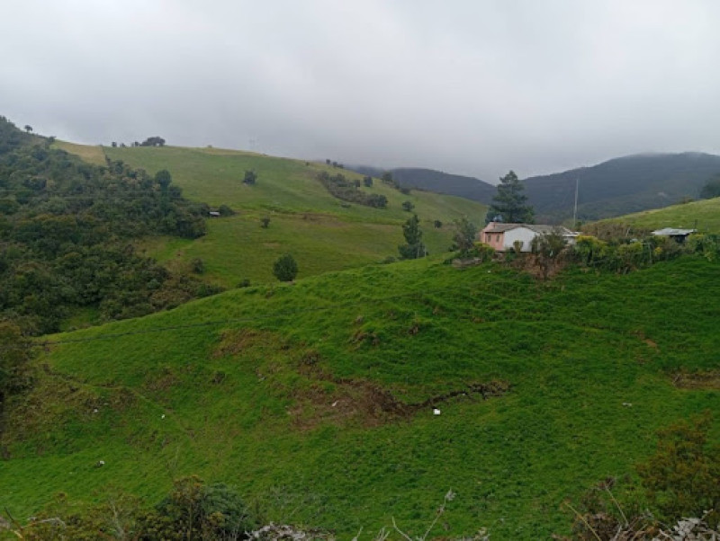 Foto 6