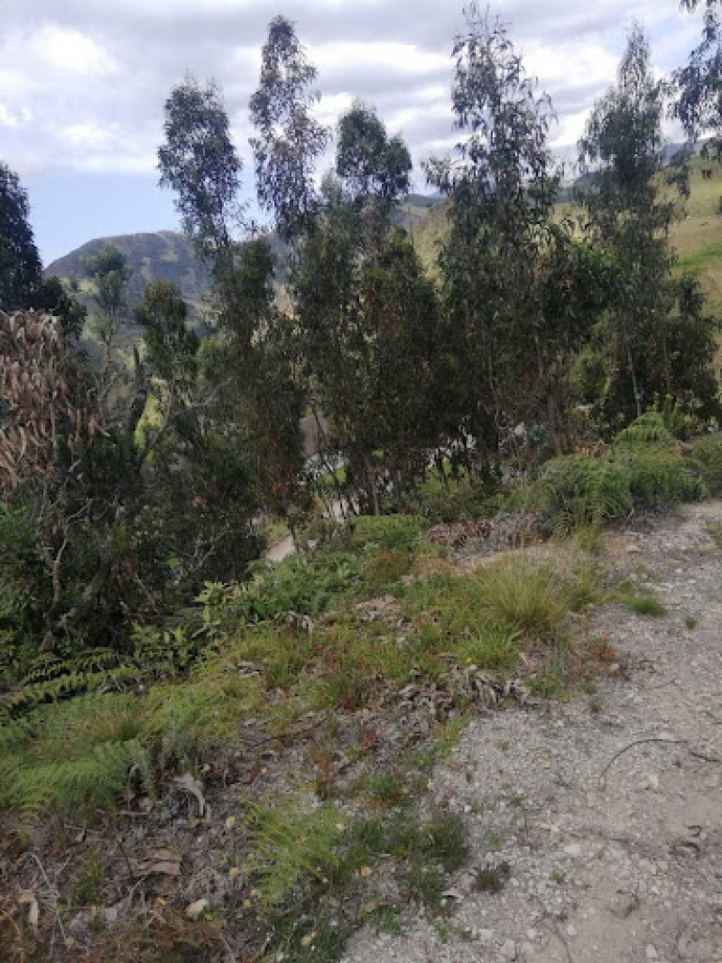 Foto 14