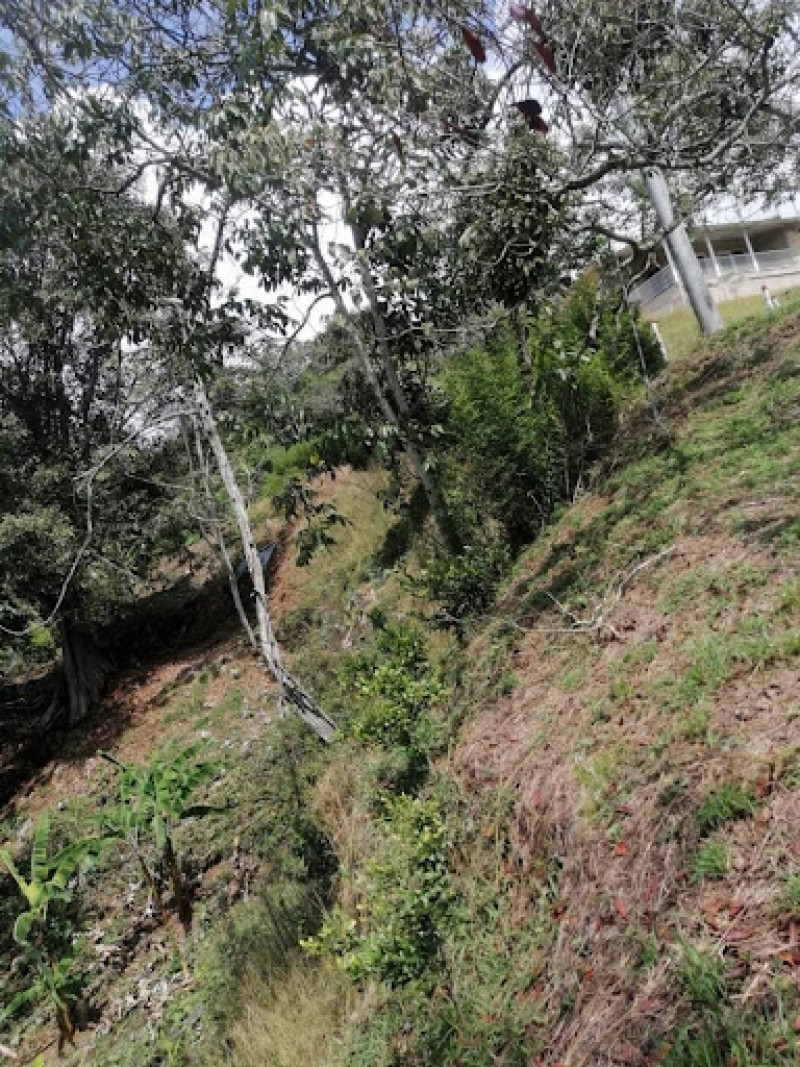 Foto 6