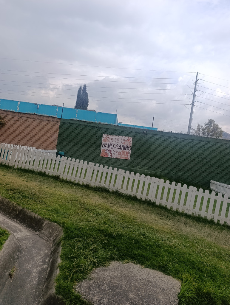 Foto 5