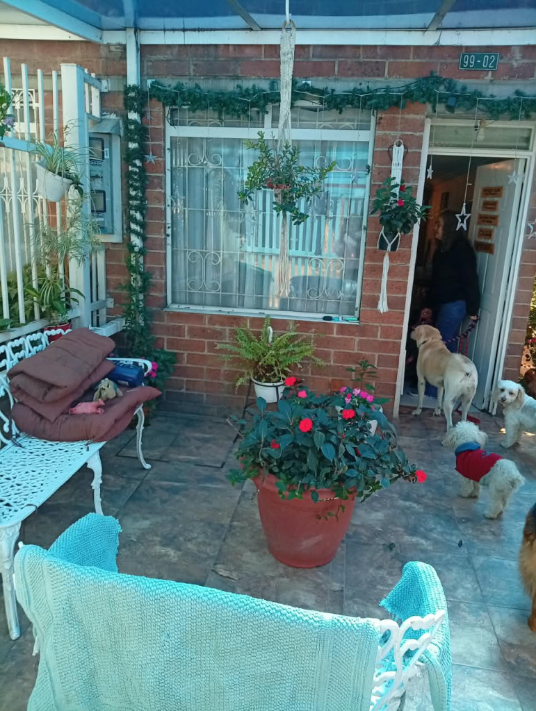 Foto 14