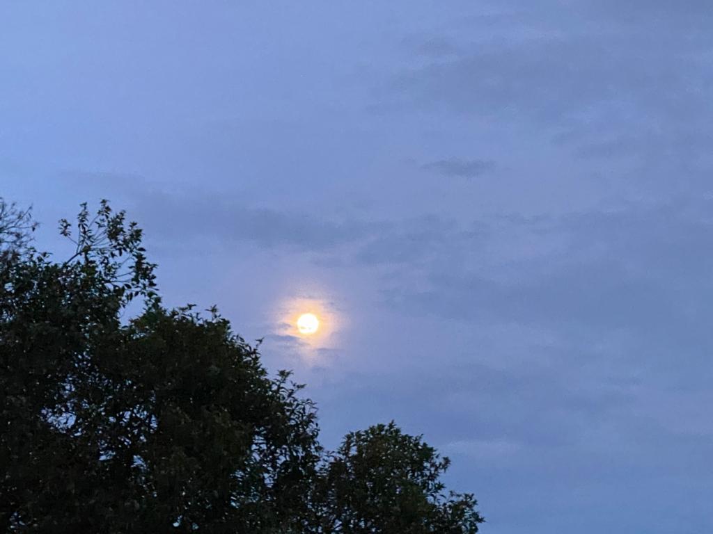 Lote En Venta - Miralia-Lotes Dapa, Yumbo