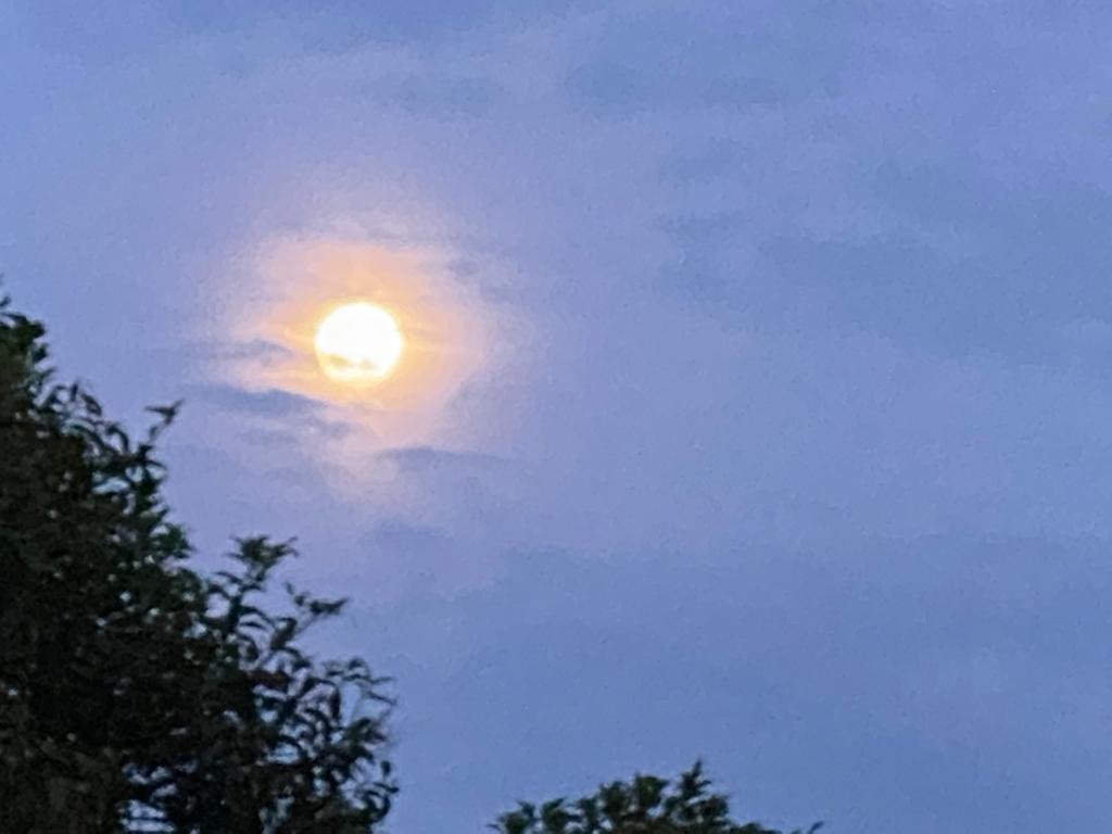 Lote En Venta - Miralia-Lotes Dapa, Yumbo