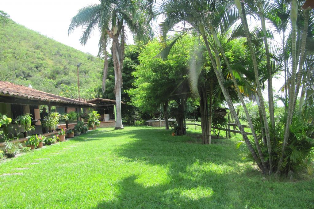 Finca En Venta - Vereda La Despensa, La Unión