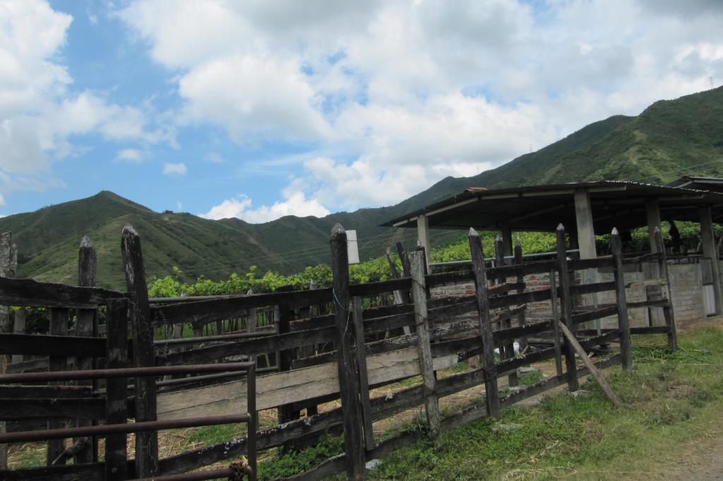 Finca En Venta - Vereda La Despensa, La Unión