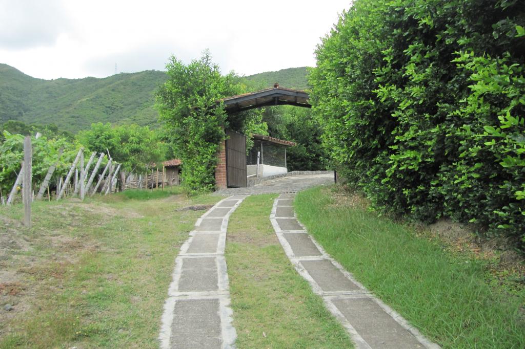 Finca En Venta - Vereda La Despensa, La Unión