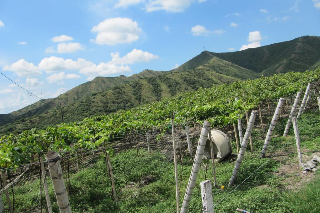 Finca En Venta - Vereda La Despensa, La Unión
