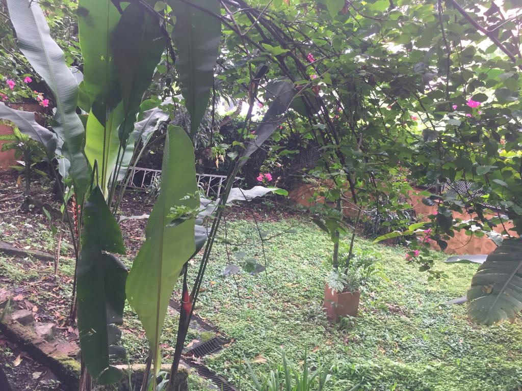 Apartamento En Venta - Normandia, Cali