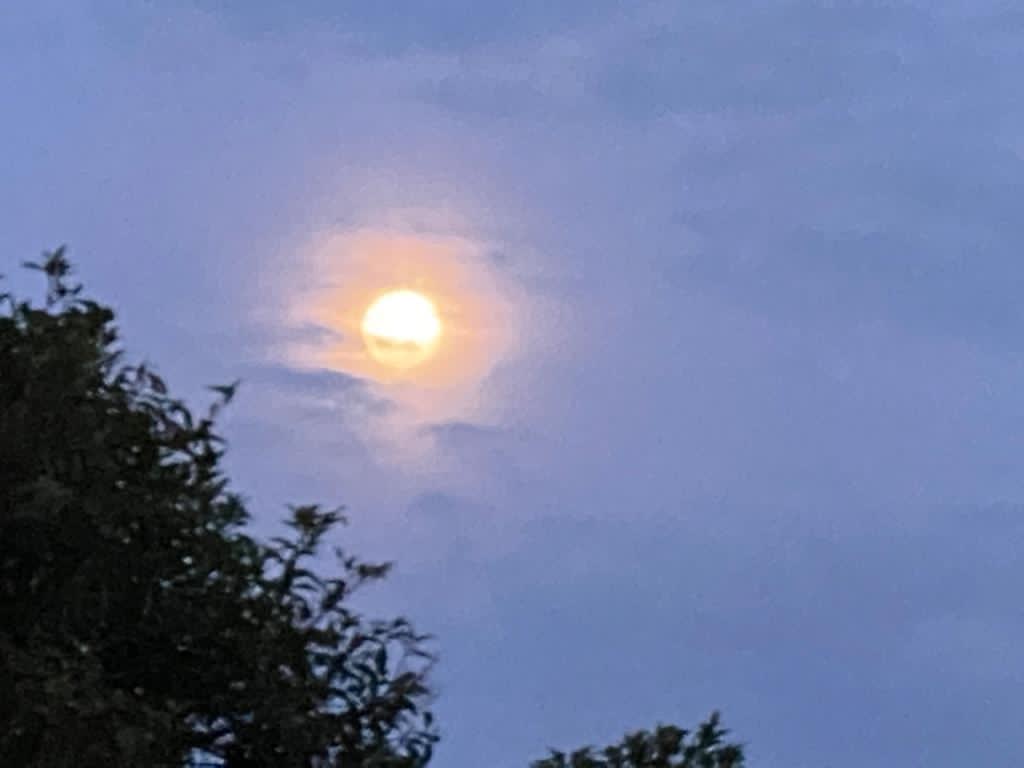 Lote En Venta - Dapa, Yumbo