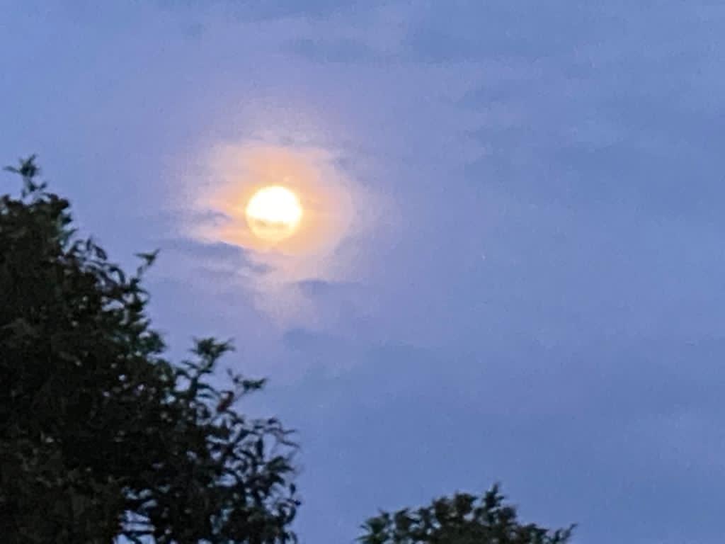 Lote En Venta - Dapa, Yumbo