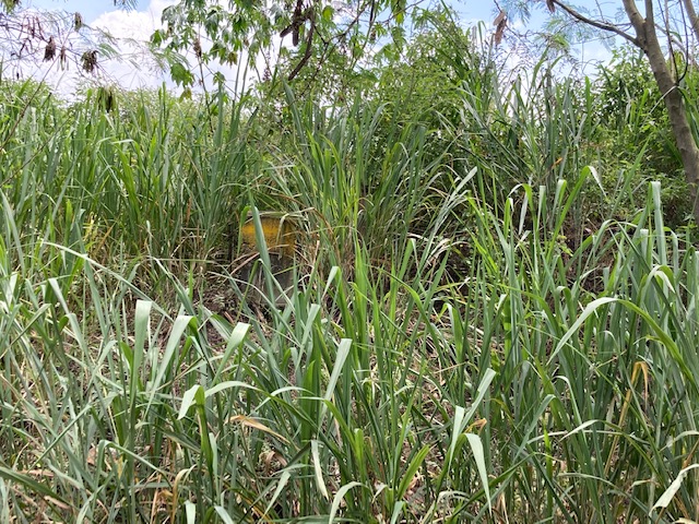 Lote En Venta - Corregimiento Arroyohondo - Yumbo, Yumbo