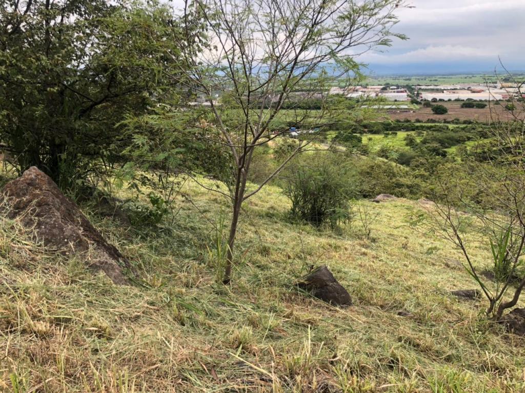 Lote En Venta - Parcelación Campestre Laguna Seca, Yumbo