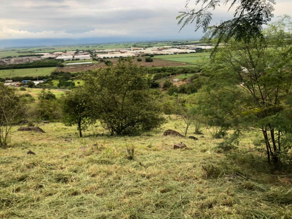 Lote En Venta - Parcelación Campestre Laguna Seca, Yumbo