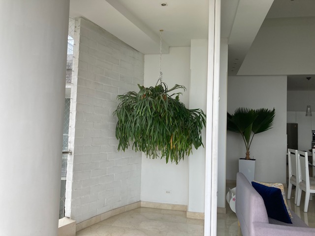 Apartamento En Venta - Mameyal, Cali