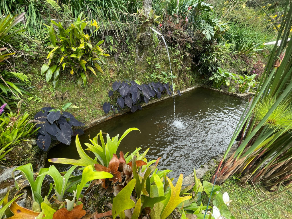 Finca En Arriendo/Venta - Dapa Parcelación Hacienda Los Morales, Yumbo