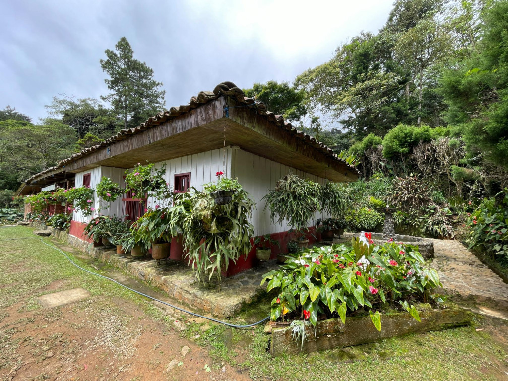 Finca En Arriendo/Venta - Dapa Parcelación Hacienda Los Morales, Yumbo