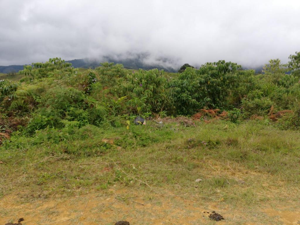 Lote En Venta - El Queremal, Dagua