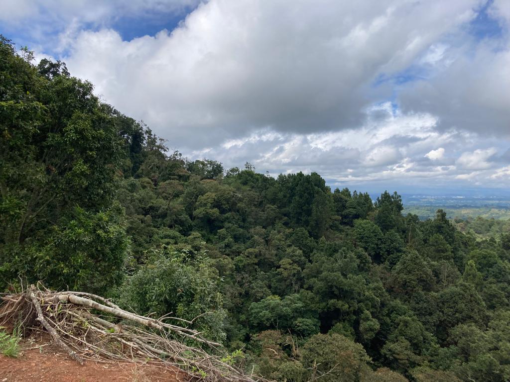 Lote En Venta - Vereda La Arrobleda, Santander De Quilichao