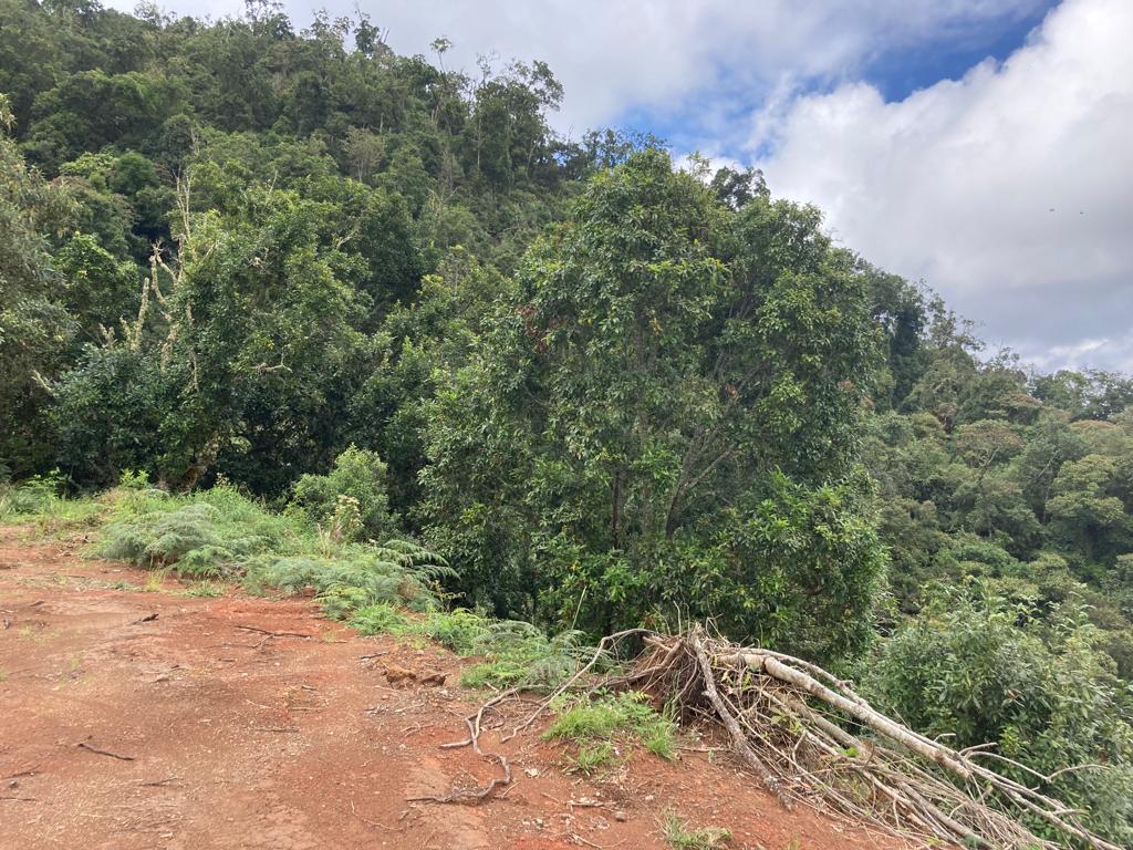 Lote En Venta - Vereda La Arrobleda, Santander De Quilichao