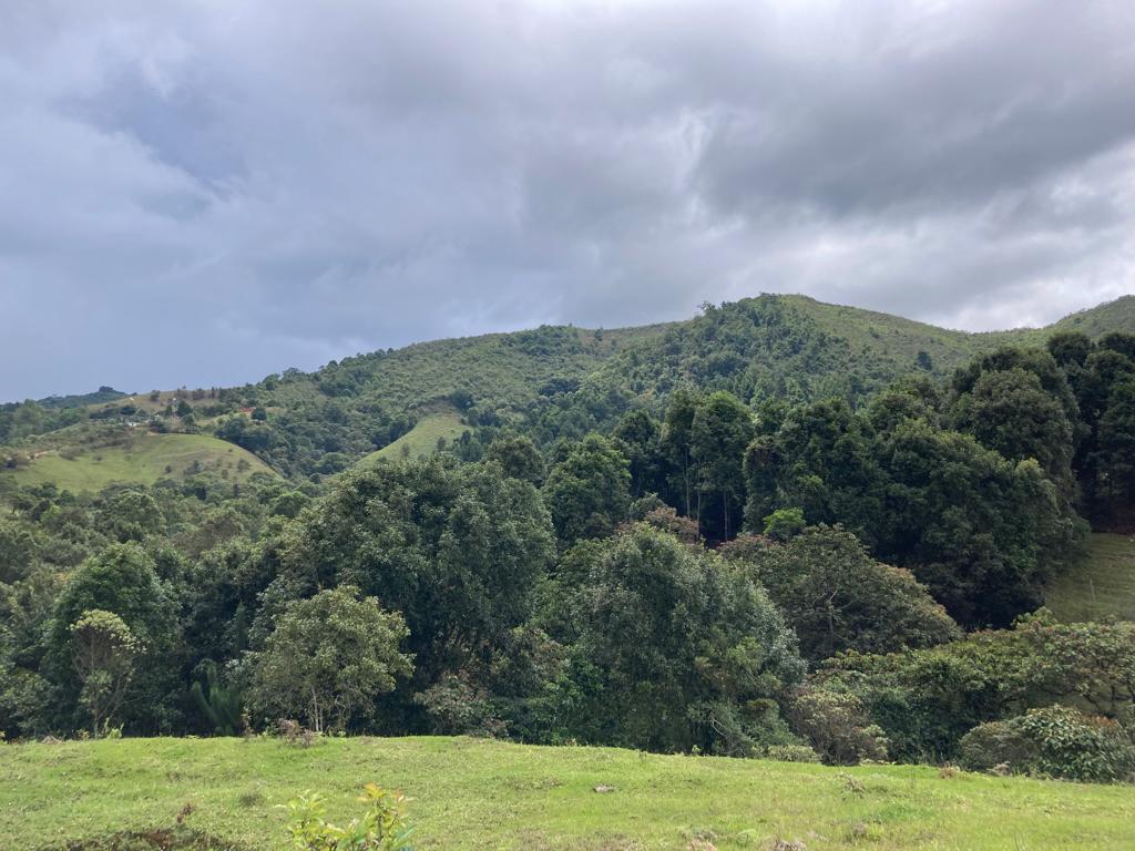 Lote En Venta - Vereda La Arrobleda, Santander De Quilichao