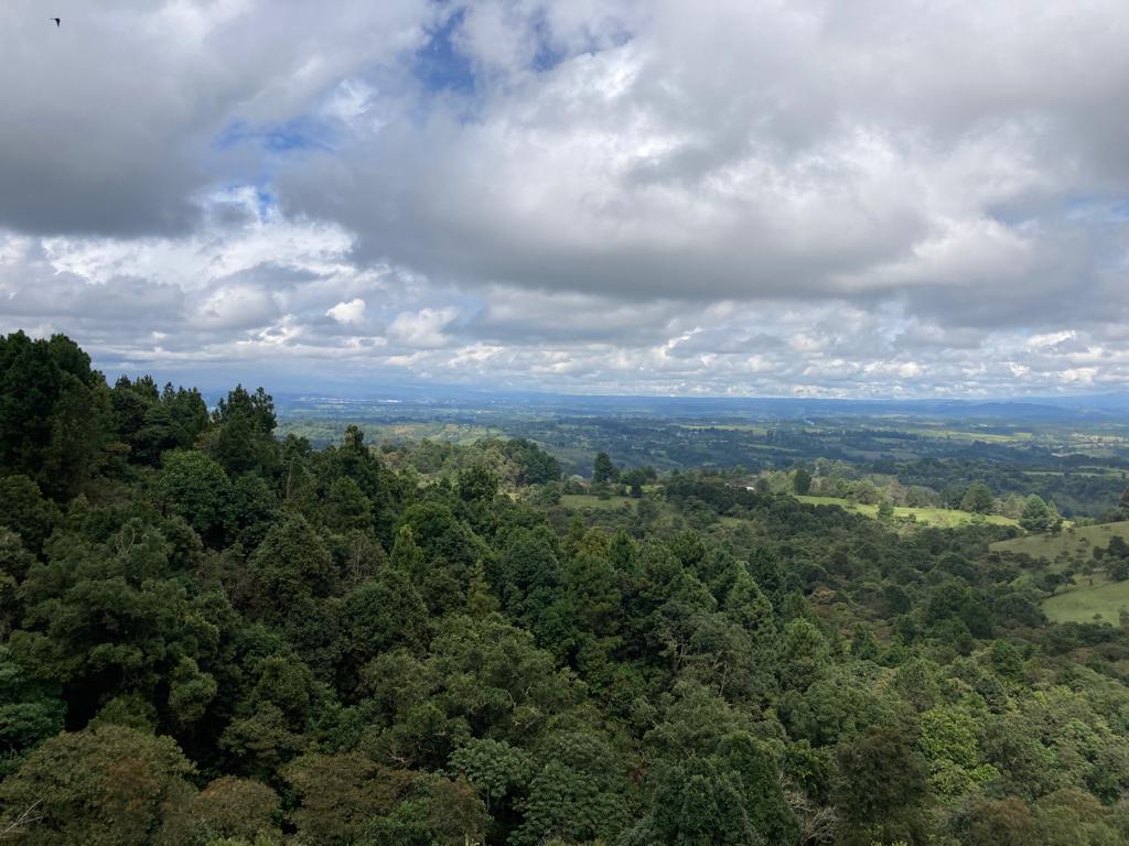 Lote En Venta - Vereda La Arrobleda, Santander De Quilichao