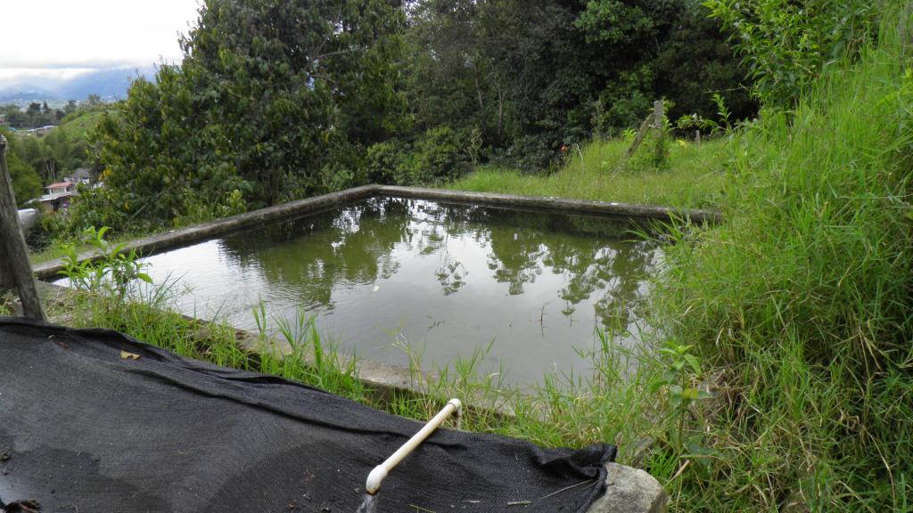 Finca En Venta - Corregimiento Borrero Ayerbe, Dagua