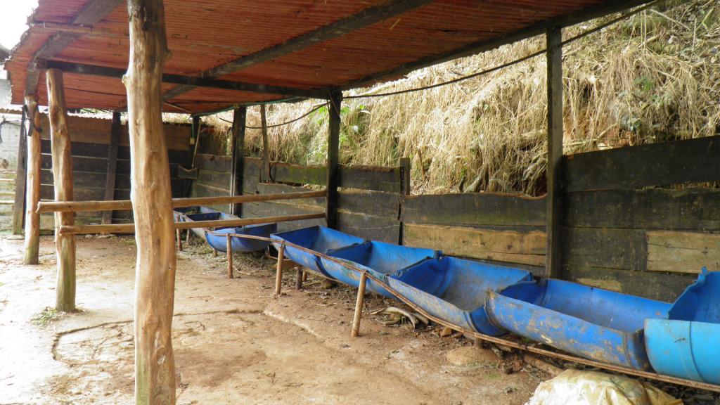 Finca En Venta - Corregimiento Borrero Ayerbe, Dagua