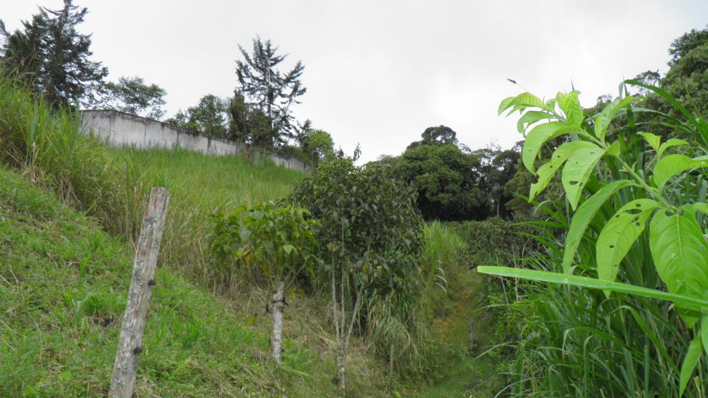 Finca En Venta - Corregimiento Borrero Ayerbe, Dagua