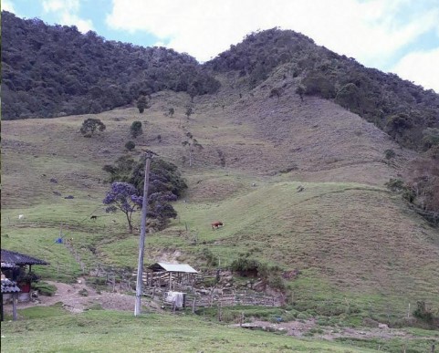 Finca En Venta - Puerto Frazadas, Tuluá