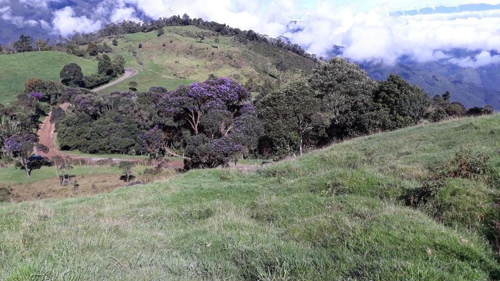 Finca En Venta - Puerto Frazadas, Tuluá