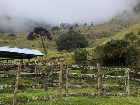 Finca En Venta - Puerto Frazadas, Tuluá